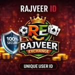 rajveer exchange Profile Picture